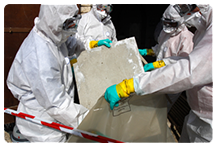 Asbestos Testing Toronto